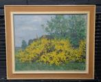 Bloeiende struik Bloesem Lente Schilderij olieverf 53 x 63, Ophalen