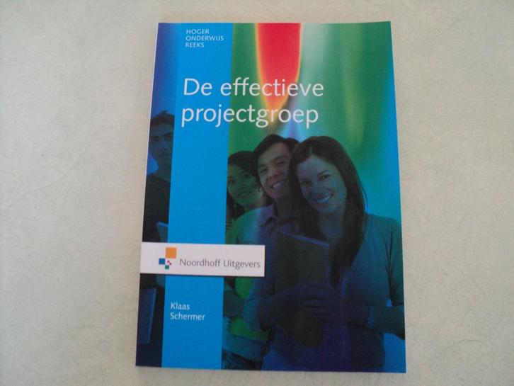 de effectieve projectgroep, Boeken, Studieboeken en Cursussen, Zo goed als nieuw, HBO, Ophalen