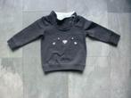 leuke grijze sweater, maat 86 (qwe), Truitje of Vestje, Topomini, Ophalen of Verzenden, Zo goed als nieuw