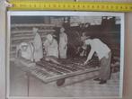 Foto Duits WO2 bakkerij Wehrmacht Heeresverpflegungsamt, Verzenden, Landmacht, Duitsland, Foto of Poster