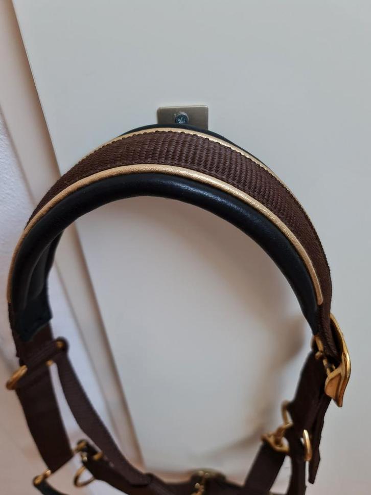 Halster pony paard Global Wide Equestrian Products , Dieren en Toebehoren, Paarden en Pony's | Hoofdstellen en Tuigage, Gebruikt