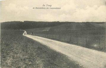 (377-388-021) De Steeg De Rauwenberg beschikbaar voor biedingen