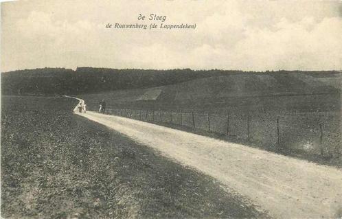 (377-388-021) De Steeg De Rauwenberg, Verzamelen, Ansichtkaarten | Nederland, Gelderland, Verzenden