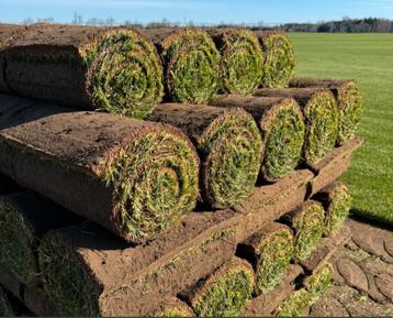Graszoden / Grasmatten - Nieuw beschikbaar voor biedingen