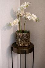 Orchidee in bloempot schelp vaas eric kuster, Overige materialen, Rond, Binnen, Ophalen of Verzenden