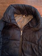 Nomad winterjas, 40/L, Ophalen of Verzenden, Gedragen