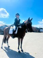Te koop: Knappe B-pony. (Welsh sportpony), Dieren en Toebehoren, Pony's, Merrie, Gechipt, M, B pony (1.17m tot 1.27m)