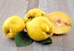 Gezocht: kweeperen, appels, peren, Diversen, Levensmiddelen, Ophalen of Verzenden