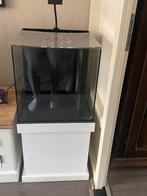 Yasa 90 zeeaquarium, Dieren en Toebehoren, Vissen | Aquaria en Toebehoren, Ophalen of Verzenden, Gebruikt, Leeg aquarium
