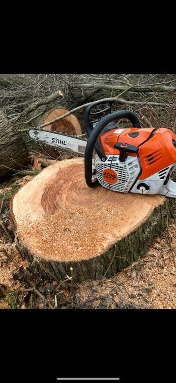 Stihl ms 500i beschikbaar voor biedingen