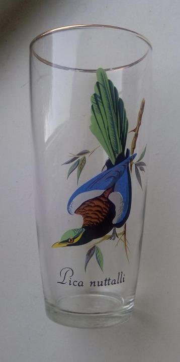 Vintage glas met vogel Pica Nuttalli beschikbaar voor biedingen