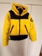 Goldbergh Boulder skijas maat 44 - Zeer Goede Staat, Verzenden, Zo goed als nieuw, Maat 42/44 (L), Jack