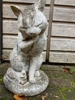 Kat beton, Tuin en Terras, Ophalen