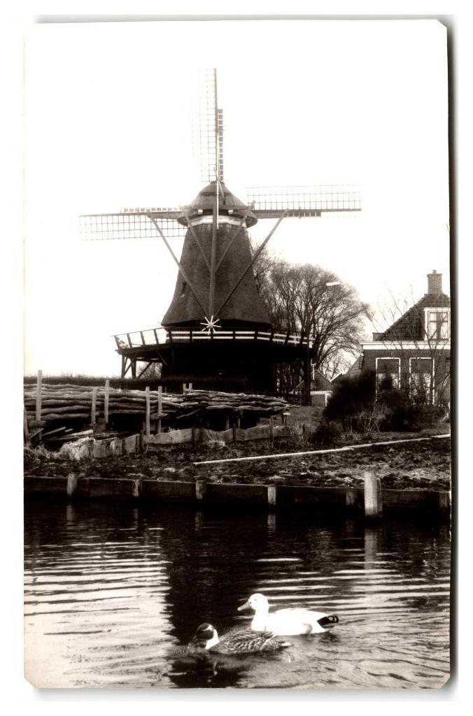 Sloten, Korenmolen. Lees beschrijving, Verzamelen, Ansichtkaarten | Nederland, Ongelopen, Friesland, 1960 tot 1980, Verzenden