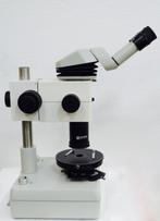 Microscoop stereo polarisatie  Euromex  Leica Wild, Ophalen, Nieuw, Minder dan 400x, Stereomicroscoop