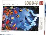 King Legpuzzel 1000 stukjes: Dolphin Rocks, Ophalen, 500 t/m 1500 stukjes, Gebruikt, Legpuzzel