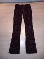 Flared broek maat 170/176, Broek, Meisje, Coolcat, Nieuw