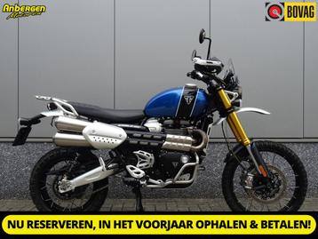 Triumph SCRAMBLER 1200 XE (bj 2019) beschikbaar voor biedingen