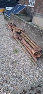 Hout van coniferen, Tuin en Terras, Ophalen, Overige houtsoorten