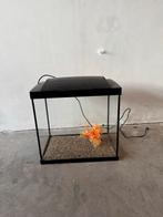 Aquarium set, Ophalen