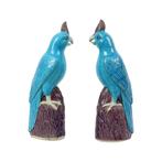 Koppel Turquoise Geglazuurde Papegaaien Chinees Porselein, Ophalen of Verzenden, Gebruikt, Dier