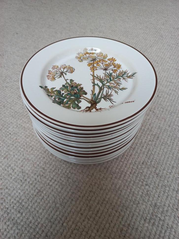 14 Villeroy & Boch Botanica borden – Carum carvi, Antiek en Kunst, Antiek | Servies los, Ophalen of Verzenden
