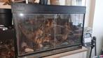Paludarium te koop, Dieren en Toebehoren, Reptielen en Amfibieën | Toebehoren, Ophalen