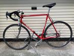 Vintage pinarello, Fietsen en Brommers, Fietsen | Racefietsen, Gebruikt, 26 inch, Staal, Heren