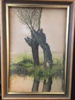 Aquarel-Wilg- 30/20 met lijst achter glas -24/34, Ophalen of Verzenden