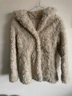 Meisjes jas, Hollister XS, Ophalen of Verzenden, Gebruikt, Meisje, Jas