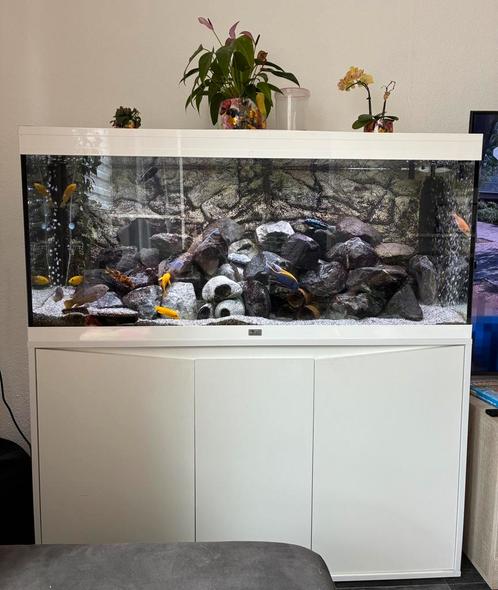 Aqualantis Volga 240 wit, Dieren en Toebehoren, Vissen | Aquaria en Toebehoren, Gebruikt, Gevuld zoetwateraquarium, Ophalen