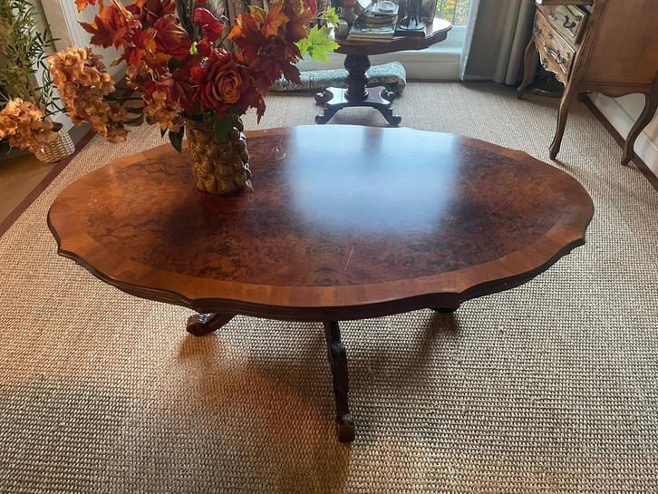 Grote Salontafel - Prachtexemplaar!, Huis en Inrichting, Tafels | Salontafels, Gebruikt, Minder dan 50 cm, 100 tot 150 cm, Ovaal
