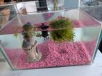 Goudvissen met bak, Ophalen, Zo goed als nieuw, Gevuld zoetwateraquarium