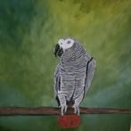 Mooie op doek geverft, Mannelijk, Parkiet