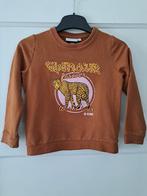 D-zine sweater maat 116-122, Kinderen en Baby's, Kinderkleding | Maat 116, Meisje, D-Zine, Trui of Vest, Ophalen of Verzenden