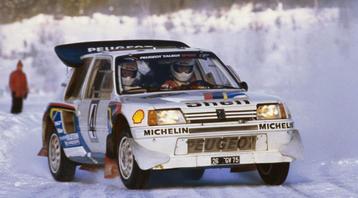 Peugeot 205 Nieuwe onderdelen, Zie de website TG-CARPARTS.NL beschikbaar voor biedingen