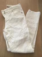 Nieuwe offwhite broek van Zizo, maat 36., Ophalen of Verzenden, Nieuw, Wit
