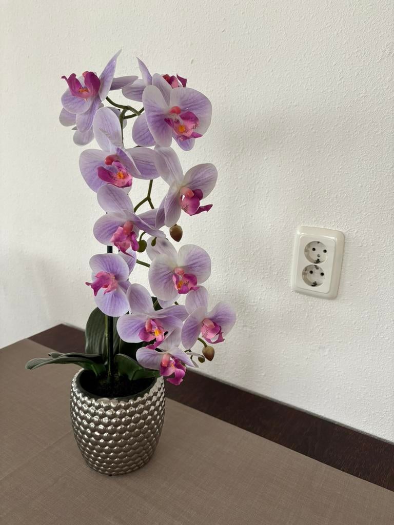 Lila Kunst-Vlinderorchidee in zilverkleurige vaste pot, H 50, Ophalen, Zo goed als nieuw
