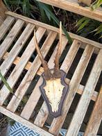 Herten geweitjes op schild, Ophalen of Verzenden