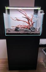 Oase ScaperLine 60 set – Aqua toebehoren (nieuw), Dieren en Toebehoren, Vissen | Aquaria en Toebehoren, Ophalen, Nieuw, Leeg aquarium