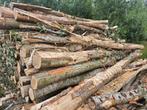 Vracht dunne eiken stammen haardhout, Tuin en Terras, Ophalen of Verzenden