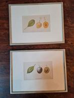 oude chromolitho's 1880, 1860 en ong 1900 van antiquair, Ophalen of Verzenden