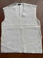 Drykorn spencer, Kleding | Dames, Drykorn, Verzenden, Beige, Maat 42/44 (L)