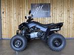 kymco maxxer 300, 1 cilinder, 300 cc
