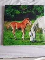 Leuk paarden schilderij op canvas 50 x 50, Ophalen of Verzenden, Zo goed als nieuw