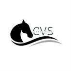 Gezocht werk in de paardenbranch., Diensten en Vakmensen, Dieren | Paarden | Verzorging, Oppas en Les