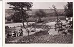Coltessen (Z.L) Buitenlust 1954 (?), Verzenden, 1940 tot 1960, Ongelopen, Limburg