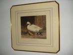 Gravering J. Harris [ Londen 1791 - 1873 ], Antiek en Kunst, Kunst | Etsen en Gravures, Ophalen