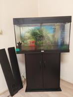 🐠JUWEL aquarium met automatisch voermachine. En veel extra., Ophalen, Gebruikt, Leeg aquarium