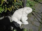 kikker van beton spuitfiguur, Tuin en Terras, Tuinbeelden, Ophalen of Verzenden, Nieuw, Beton, Dierenbeeld
